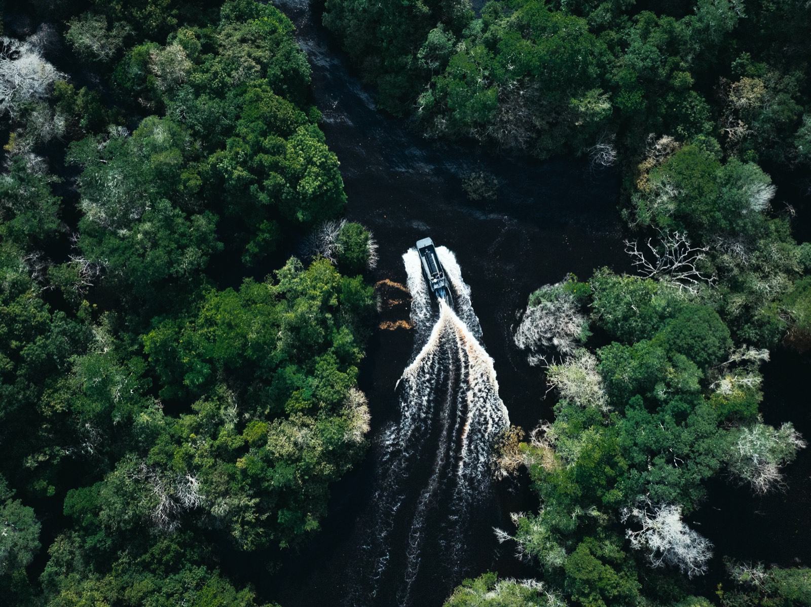 Navire électrique remontant une rivière au cœur d’une forêt dense, vu du ciel.